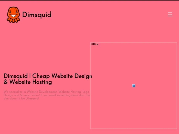 dimsquid.com